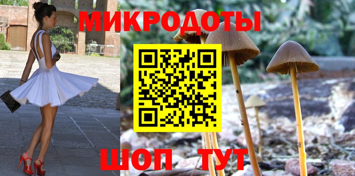 Галлюциногенные грибы MAGIC MUSHROOMS Дзержинск