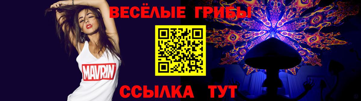 Дзержинск  Галлюциногенные грибы мухоморы  Вход с VPN 